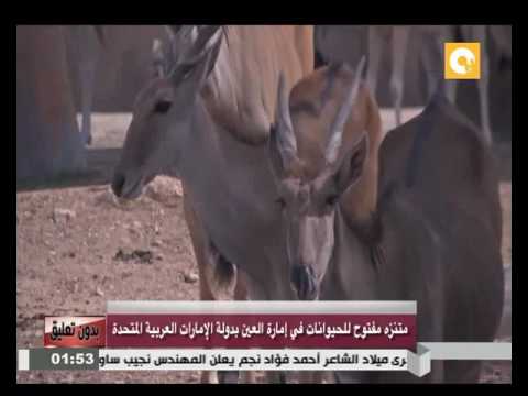 بالفيديو منتزة مفتوح للحيوانات في إمارة العين في الإمارات العربية المتحدة