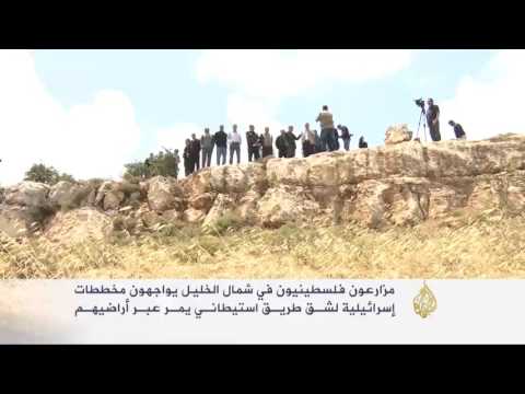 مخططات لشق طريق استيطاني عبر مزارع في الخليل