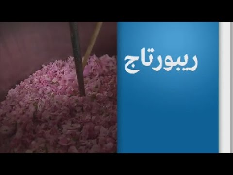 بالفيديو مدينة غراس الفرنسية وجهة المهتمين بعالم العطور