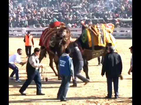 رجل يعتدي على 10 أشخاص تحرشوا بزوجته