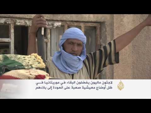 شاهد لاجئون ماليون يفضلون البقاء في موريتانيا