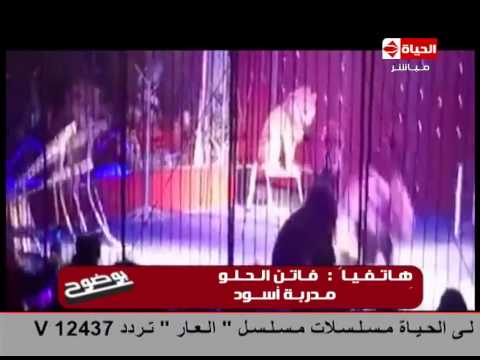 أول مداخلة لفاتن الحلو بعد هجوم الأسد