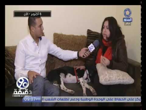 شاهد تفاصيل اغتصاب كلبة من قبل ثلاثة أشخاص