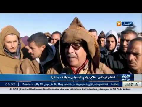 شاهد أخر أخبار الجزائر الثلاثاء