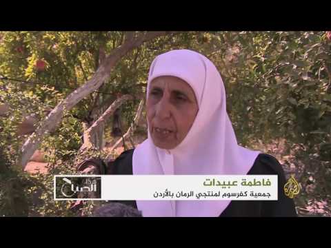 شاهد حبات تتلألأ بضوء شمس إربد في وادي الرمان