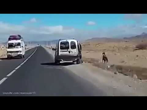 بالفيديو أب يرمي طفلًا في إحدى الصحراوات