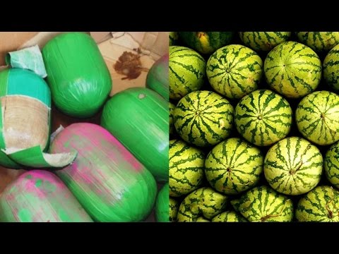 توقيف أميركي حاول تهريب 390 بطيخة حشيش