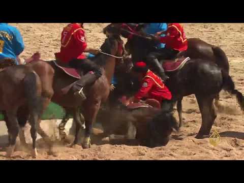 شاهد رياضة البولو من على ظهور الخيول