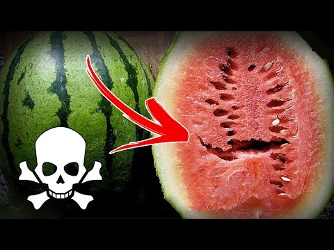 شاهد تحذيرات من خطورة البطيخ