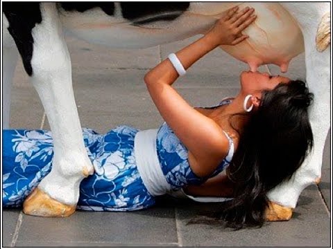 شاهد أغرب الحيوانات التي يعبدها البشر