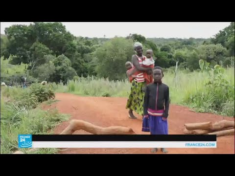 لاجئون من جنوب السودان يهربون إلى أوغندا مشيًا على الأقدام