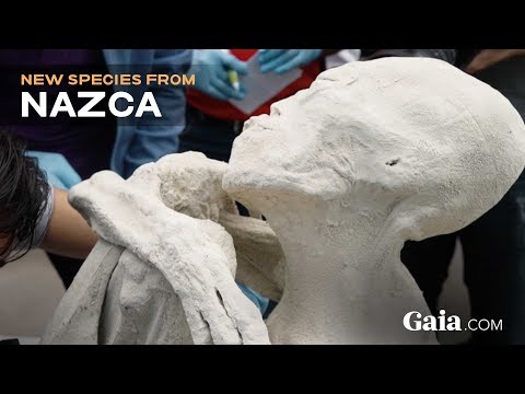العثور على مومياء كائن فضائي في بيرو