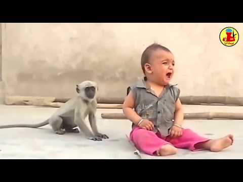 قرد طريف يحاول مداعبة طفل