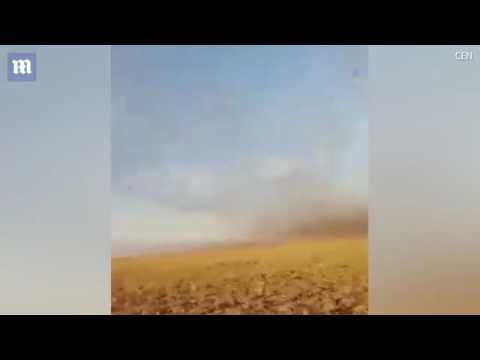 سرب جراد يهاجم سيارة في روسيا