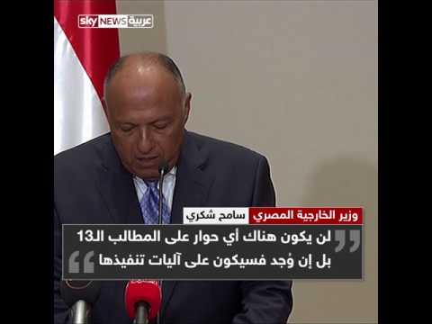 وزير الخارجية المصري ينفي وجود حوار على المطالب الـ13