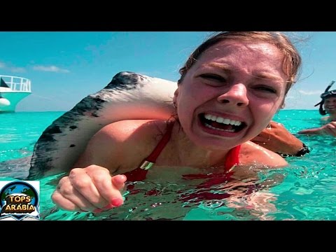 أخطر 7 مخلوقات تعيش في قاع المحيطات