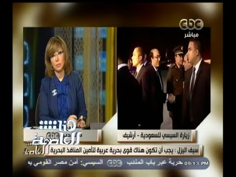 سيف اليزل يؤكد ضرورة وجود قوى عربية مشتركة