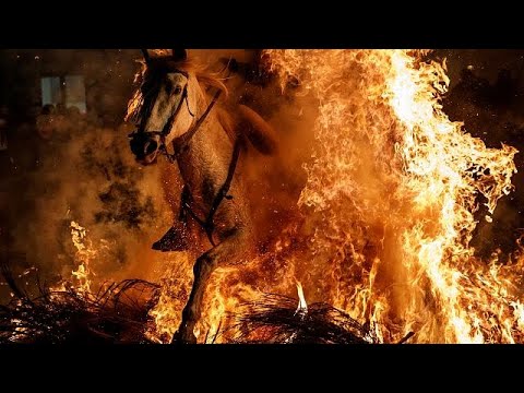 تطهير الخيول بالقفز عبر النار في إسبانيا