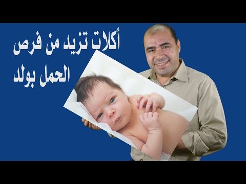 شاهد 10 أكلات تزيد من فرص الحمل في ولد