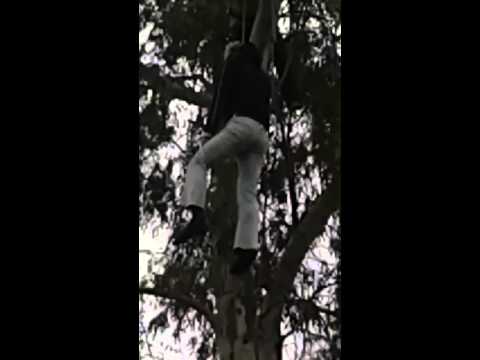 فيديو صادم انتحار شاب على شجرة في الدقهلية