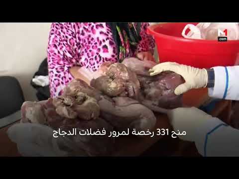 إجراءات مكثّفة لضمان السلامة الصحية خلال عيد الأضحى