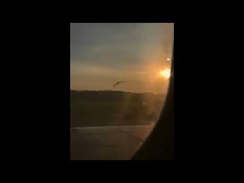 شاهد لحظة اصطدام طيور النورس بمحركات طائرة روسية في حقل ذرة