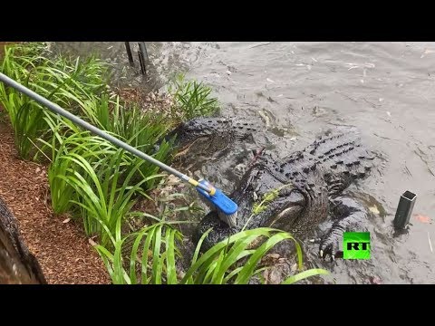 أستراليا من الحرائق إلى الطوفان والخسائر تتزايد