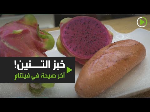 خبز التنين ذو اللون الوردي آخر صيحة في فيتنام
