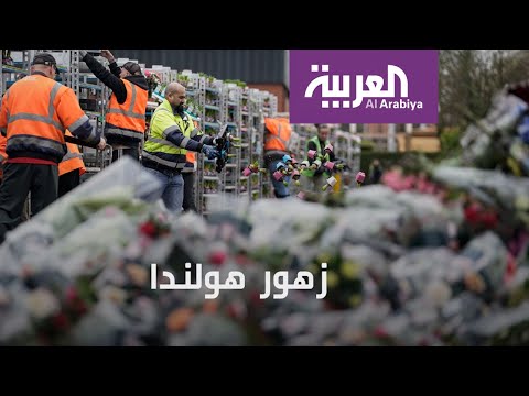 كورونا يضرب سوق الزهور في هولندا