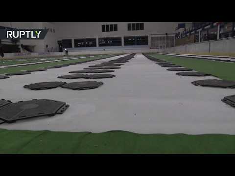 طيور البطريق تظهر في سايمونز تاون جنوب أفريقيا