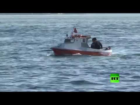 الدلافين تعود إلى مياه البوسفور في اسطنبول