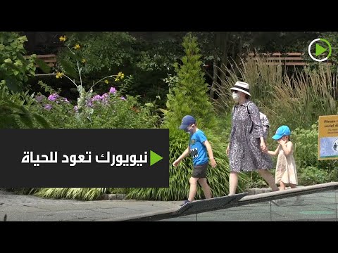 شاهد حدائق الحيوان في نيويورك تعود للحياة من جديد