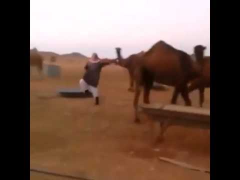 شاهد سعودي يُعلم الجمال الرقص