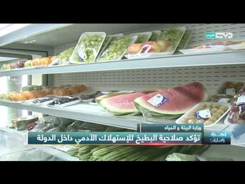 وزارة البيئة و المياه تؤكد صلاحية البطيخ