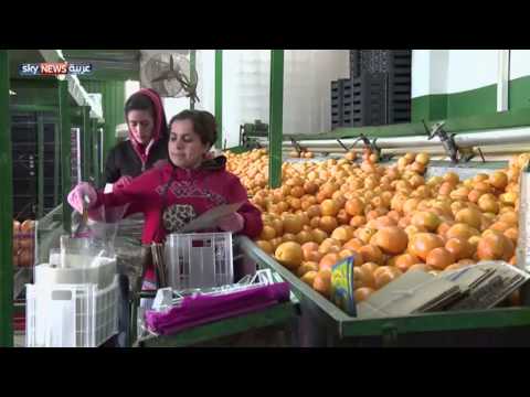 بالفيديو لبنان يتضرر بإغلاق معبر حدودي بين سورية والأردن