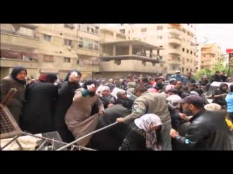بالفيديو توزيع 1300 ربطة خبز