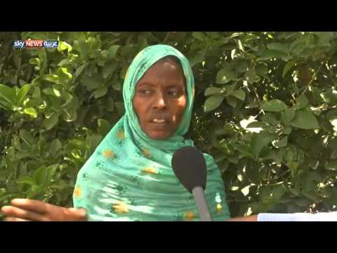 ريفيات السودان ركيزة الإنتاج الزراعي