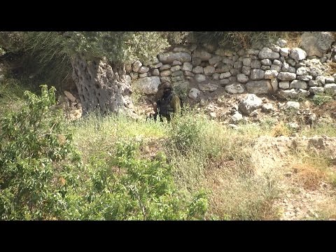 فيديو الاحتلال يطلق القنابل على المواطنين في بلدة كفر اللبد