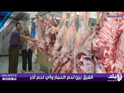الفرق بين لحوم الحمير والحيوانات الأخرى
