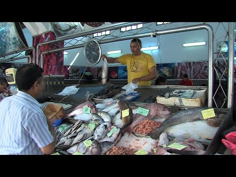 فيديو الأسماك لا غني عنها في رمضان