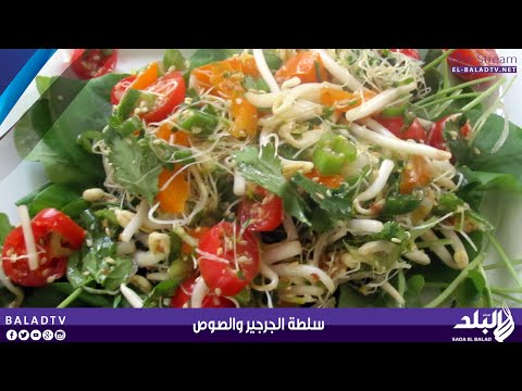 شاهد طريقة عمل سلطة جرجير وصوص السلطة