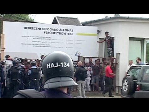 شاهد نزاع بين شخصين يشعل صدامًا بين مئات المهاجرين في المجر