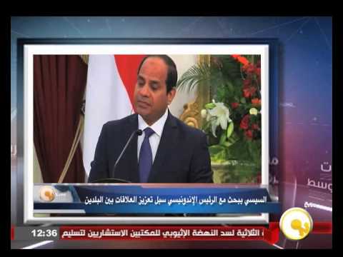 شاهد السيسي يبحث مع الرئيس الإندونيسي تعزيز العلاقات