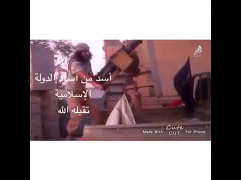 شاهد تداول مقطع يثبت كذب كرامات قتلى داعش المبتسمين