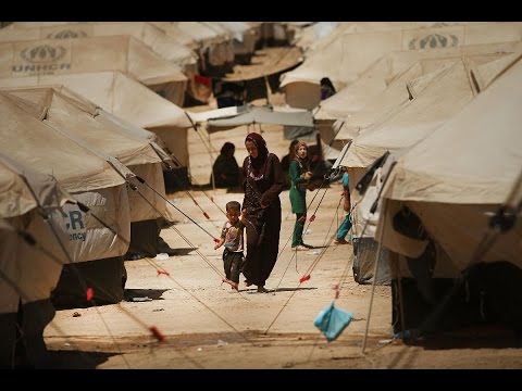 شاهد 500 عائلة هربت من بطش داعش في الأنبار
