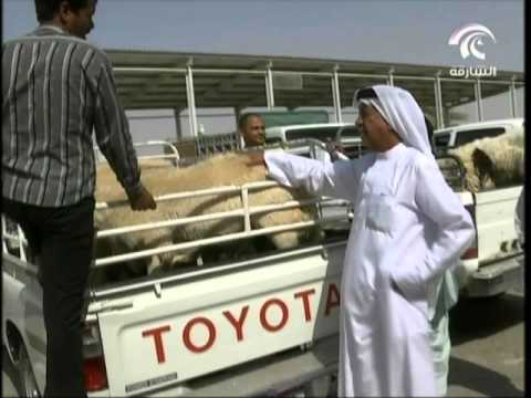 شاهد بلدية الذيد تعلن جهوزية أسواقها لاستقبال الجمهور