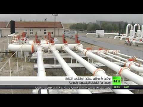 شاهد بوتين وأردوغان يبحثان العلاقات الثنائية