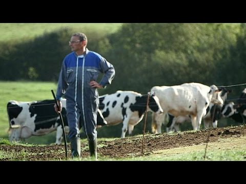 شاهد البحث عن حلول حلاً لمأساة المزارعين في أوروبا