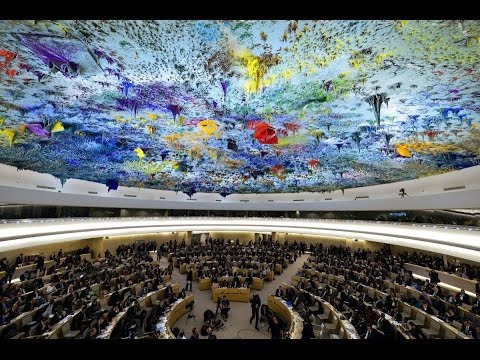 مجلس حقوق الإنسان يعتمد القرار العربي حول اليمن
