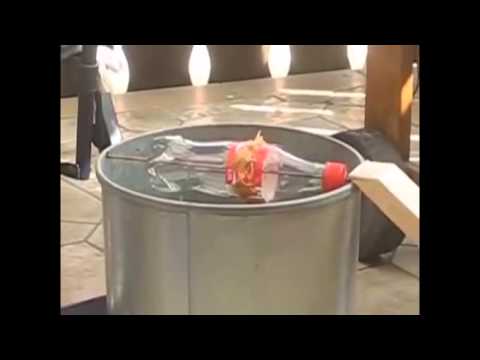 تعرف على أسهل الطرق لاصطياد الفأر في المنزل